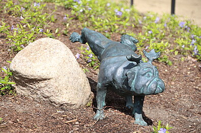 Team Staffel Brandenburg Fotos (2023): Waldmops-Skulptur auf den Vorderpfoten an einem Felsstein @ Stadt Brandenburg an der Havel