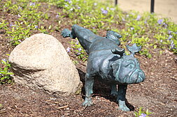 Team Staffel Brandenburg Fotos (2023): Waldmops-Skulptur auf den Vorderpfoten an einem Felsstein @ Stadt Brandenburg an der Havel