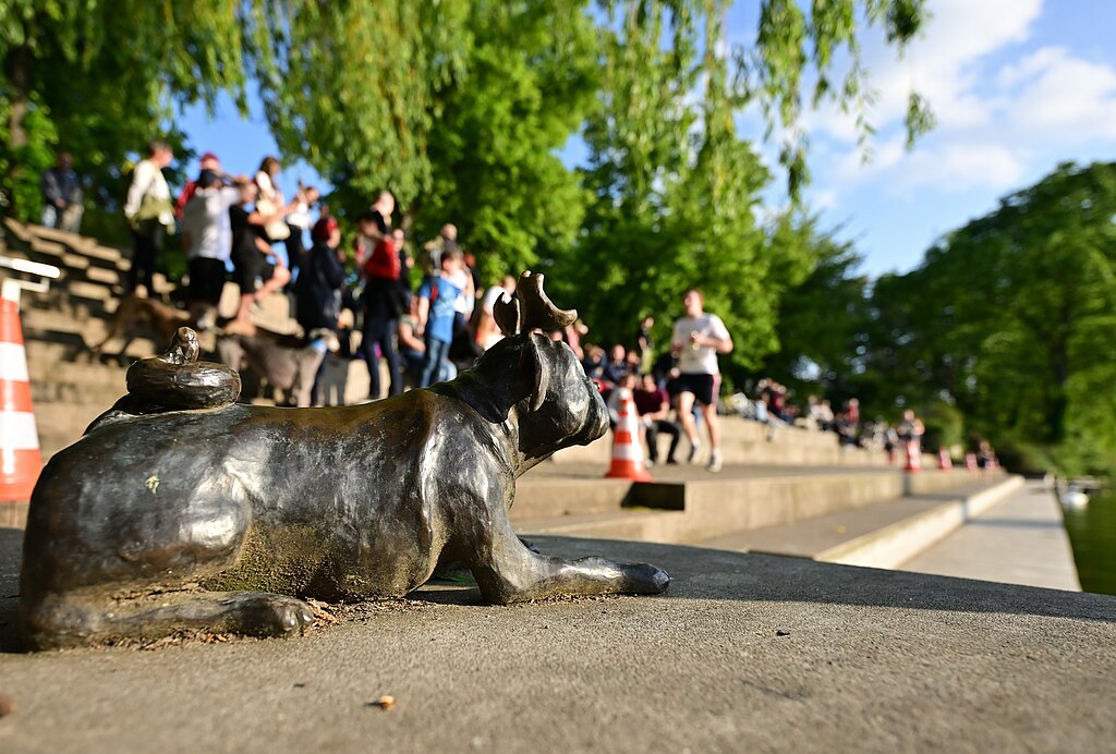 Team Staffel Brandenburg Fotos (2023): Waldmops an der Strecke @ SCC EVENTS / Petko Beier