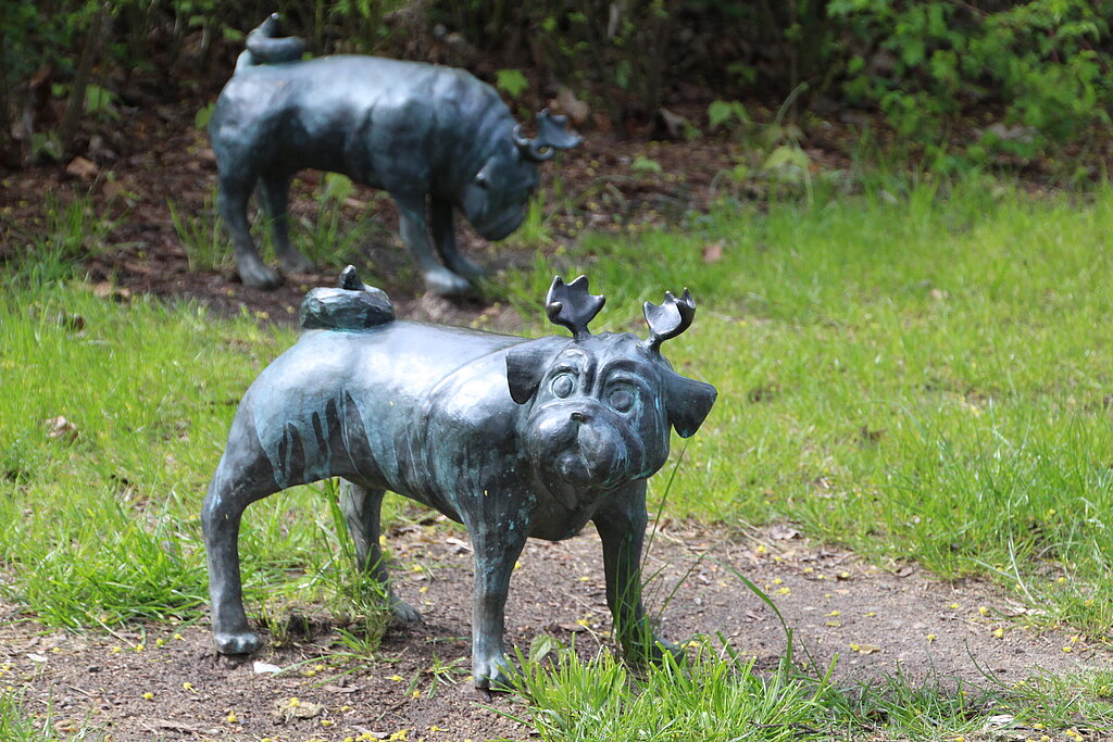 Team Staffel Brandenburg Fotos (2023): Zwei Waldmöpse in ihrem natürlichen Habitat @ Stadt Brandenburg an der Havel